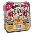 C&S Products Nutty Treat Assorted Species Beef Suet Wild Bird Food 11.75 oz 12559